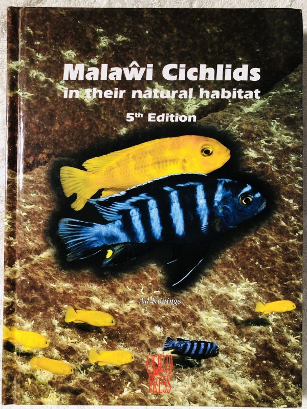 Malawi Cichlids 5th